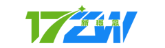 17作文