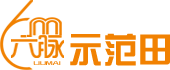 手机浏览
