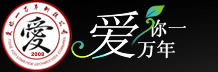 深圳网站制作