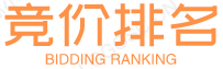 搜索引擎优化