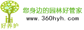 好养护