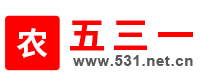 五三一