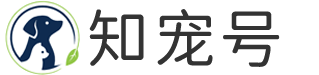 知宠号