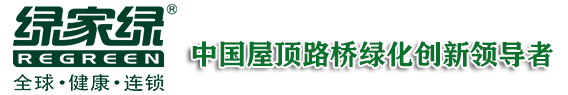 市政路桥立体绿化