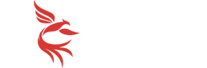 统计代跑,旺登数据分析公司