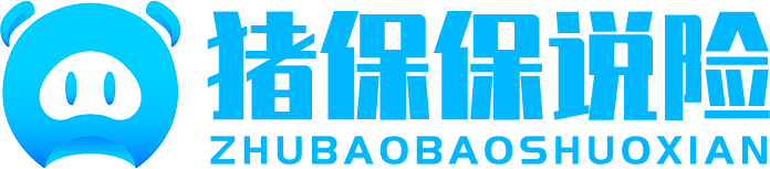 说险