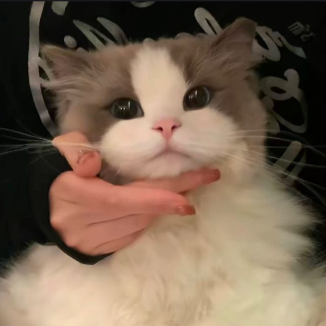 星益云