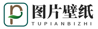 茶语小站