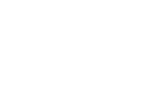 亚美拓普