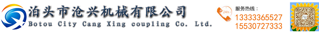 滚子链联轴器