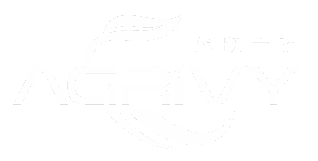 鱼跃于渊