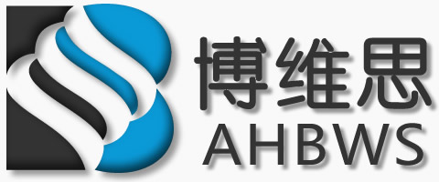 安徽博维思信息技术有限公司
