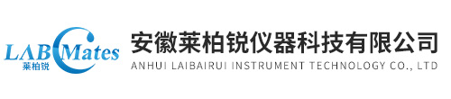 双级反渗透超纯水机