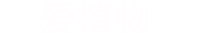 Tokenim钱包