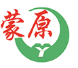 网站首页