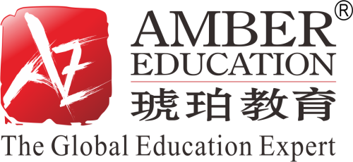 - 深圳琥珀教育