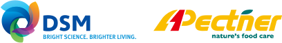 DSM