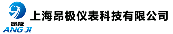 上海昂极仪表科技有限公司
