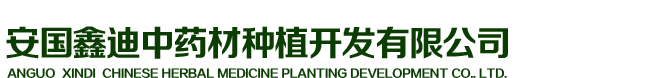 中药材种植基地