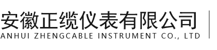 WSS双金属温度计