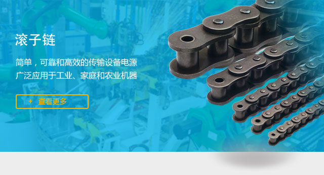 工业链条，板式链，板式链条厂家，传动链，板式链，链条厂家，倍速链条，叉车链条，杭州傲州链传动有限公司