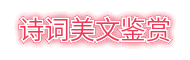 爱收录网址导航