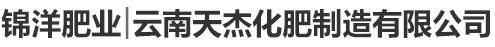 首页