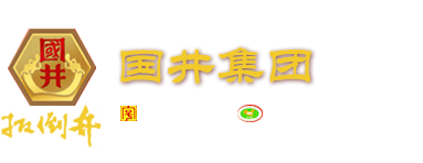 国井扳倒井官网(国井集团