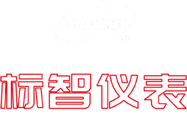 标智仪表