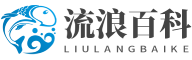 流浪百科