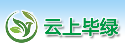 首页
