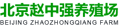 北京赵中强养殖场
