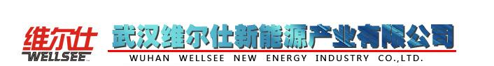 武汉维尔仕太阳能风光互补充放电控制器MPPT太阳能草坪灯路灯控制器太阳能纯正弦波车载电源逆变器磁悬浮水平轴垂直轴风力发电机生产厂家诚招价代理商加盟武汉维尔仕新能源产业有限公司027