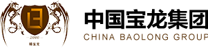 宝龙建设集团有限公司官网