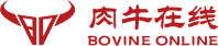 首页