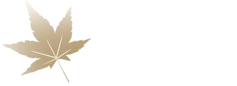 皓叶国际