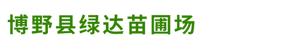 博野县绿达苗圃场