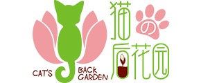 星辰影院
