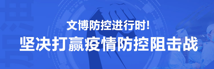 中国文物信息咨询中心