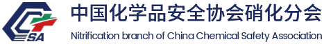 中国化学品安全协会硝化分会