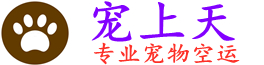 成都宠物空运