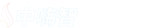 【官网】中嗨智企业级软件开发
