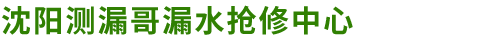 沈阳市和平区测漏哥漏水抢修中心