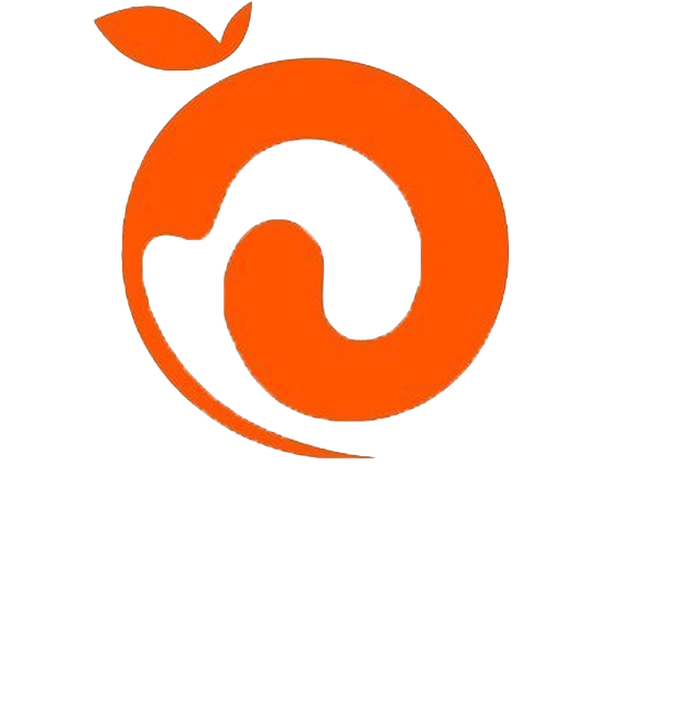 橙意出海