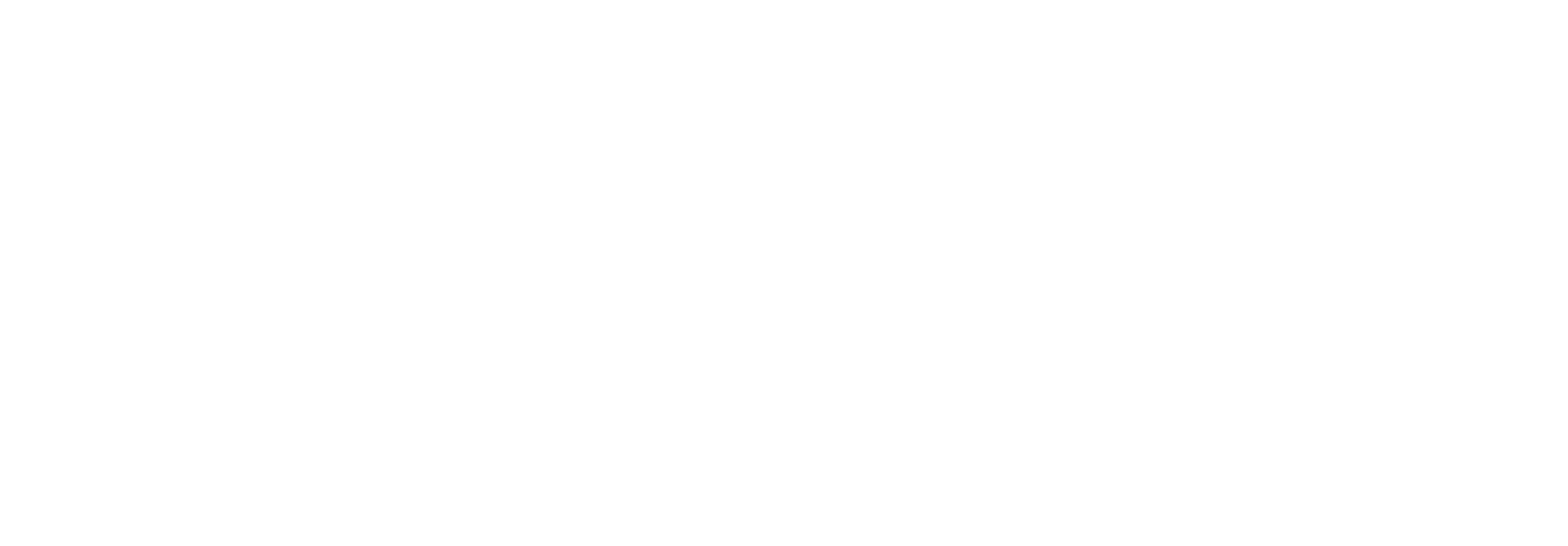 车小花