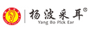 杨波采耳