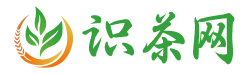 识茶网