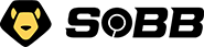 兽霸儿童