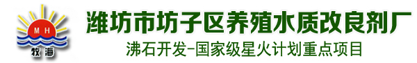 沸石