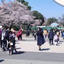 传物国际